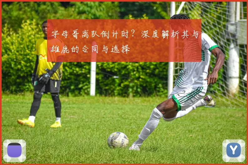 字母哥离队倒计时？深度解析其与雄鹿的合同与选择